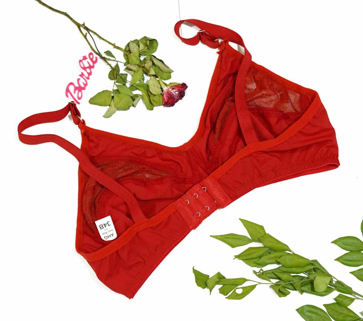 Pack of 2 Silk Half Net Bra
