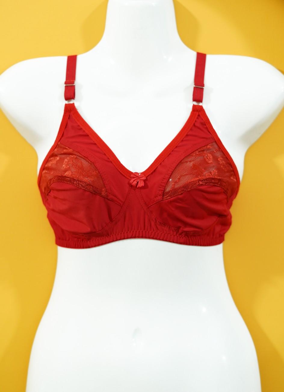 Pack of 2 Silk Half Net Bra