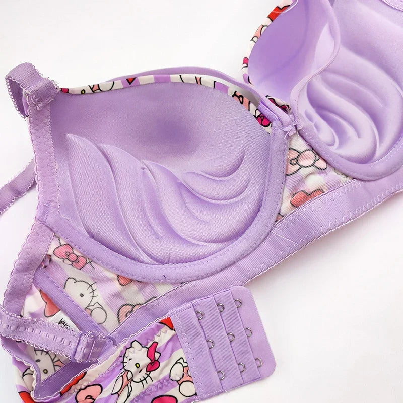 (38-42)b/c  size Hello Kitty Daily-wear Push-up Bra2222B(306)*