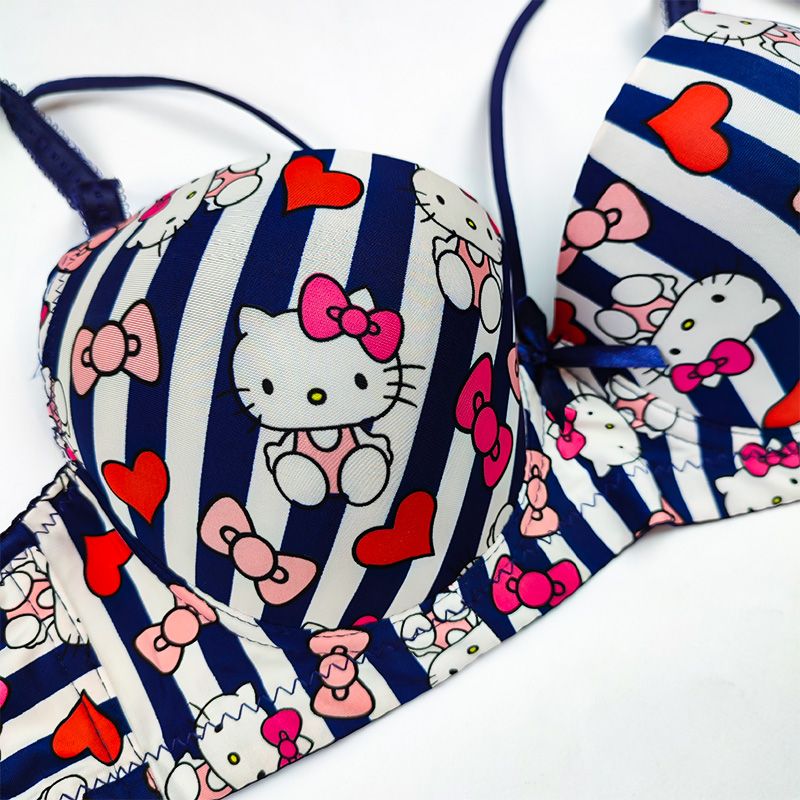 (38-42)b/c  size Hello Kitty Daily-wear Push-up Bra2222B(306)*
