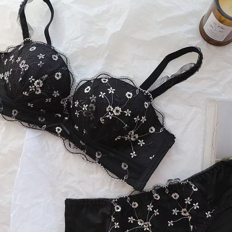 Pinteresty Embroided Bra Panty Set (163)
