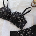 Pinteresty Embroided Bra Panty Set (163)