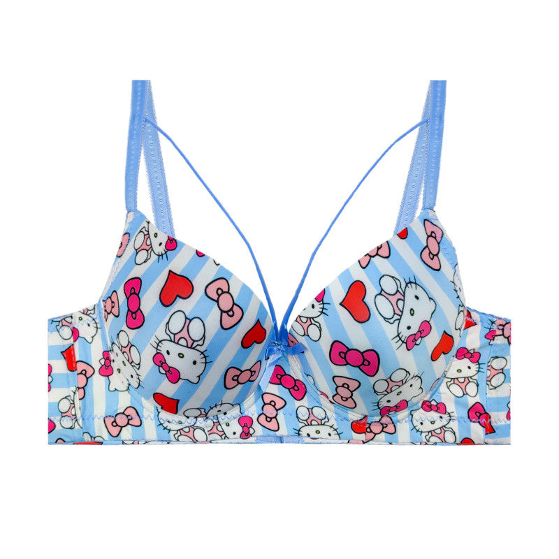 (38-42)b/c  size Hello Kitty Daily-wear Push-up Bra2222B(306)*